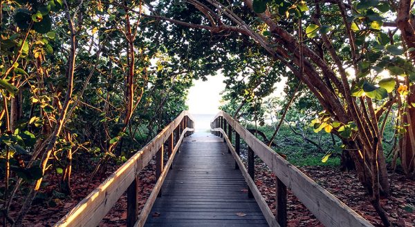 CIEL Update: New Directions in Teaching and Learning Support