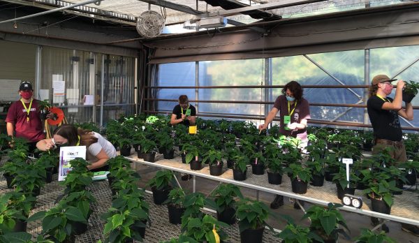 The Share Drive (Episode 16): “We in Horticulture are often very adaptable” (Christine Quist, Instructor)