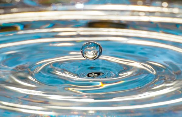 The Share Drive (Episode 15): “That extraordinary event that rippled out of those beginning places” Heather Wilson (ECEC student); Cheryl Cameron (ECEC practicum coordinator ); Antje Bitterberg (ECEC Instructor)