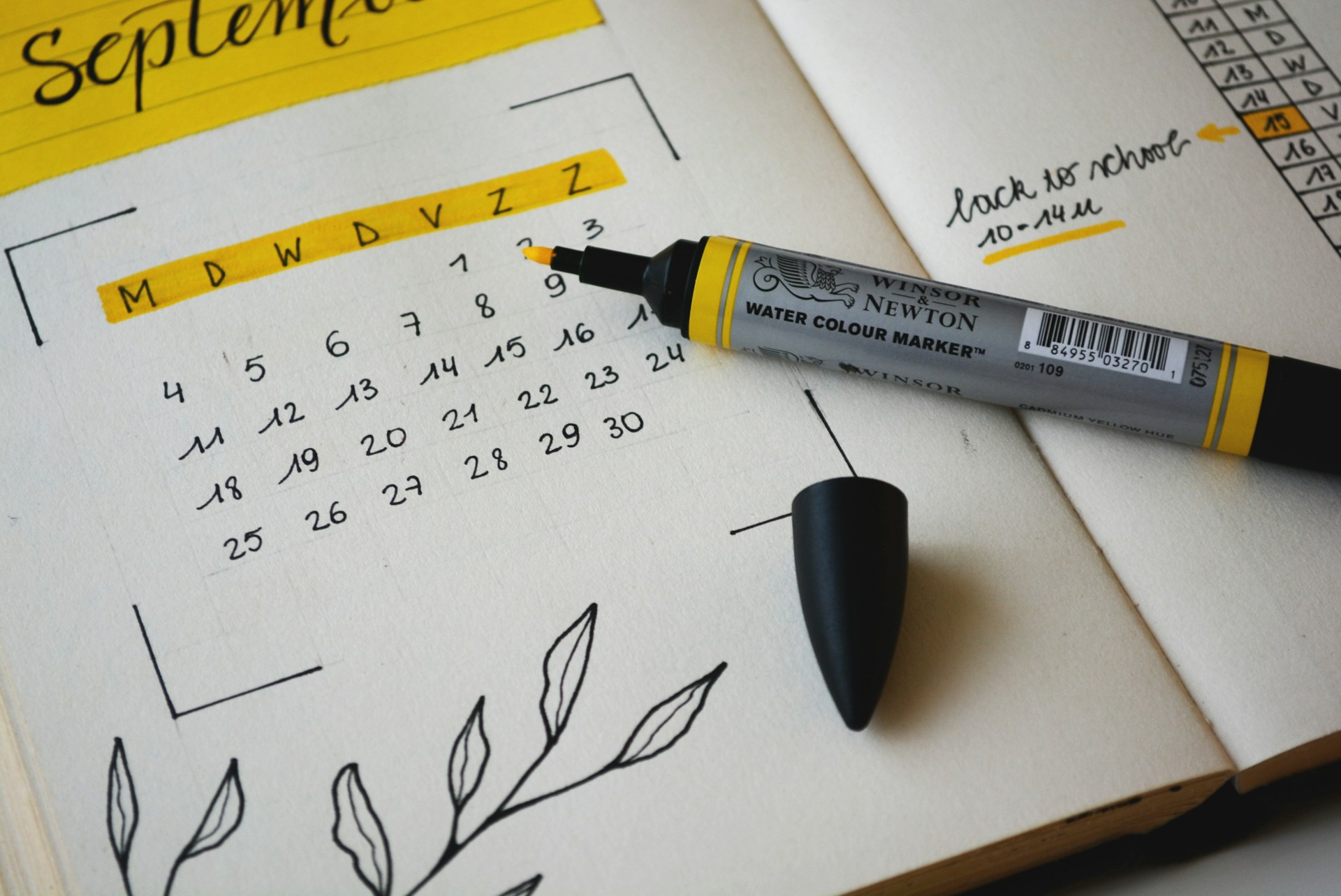 Why use Due Dates in VIULearn?